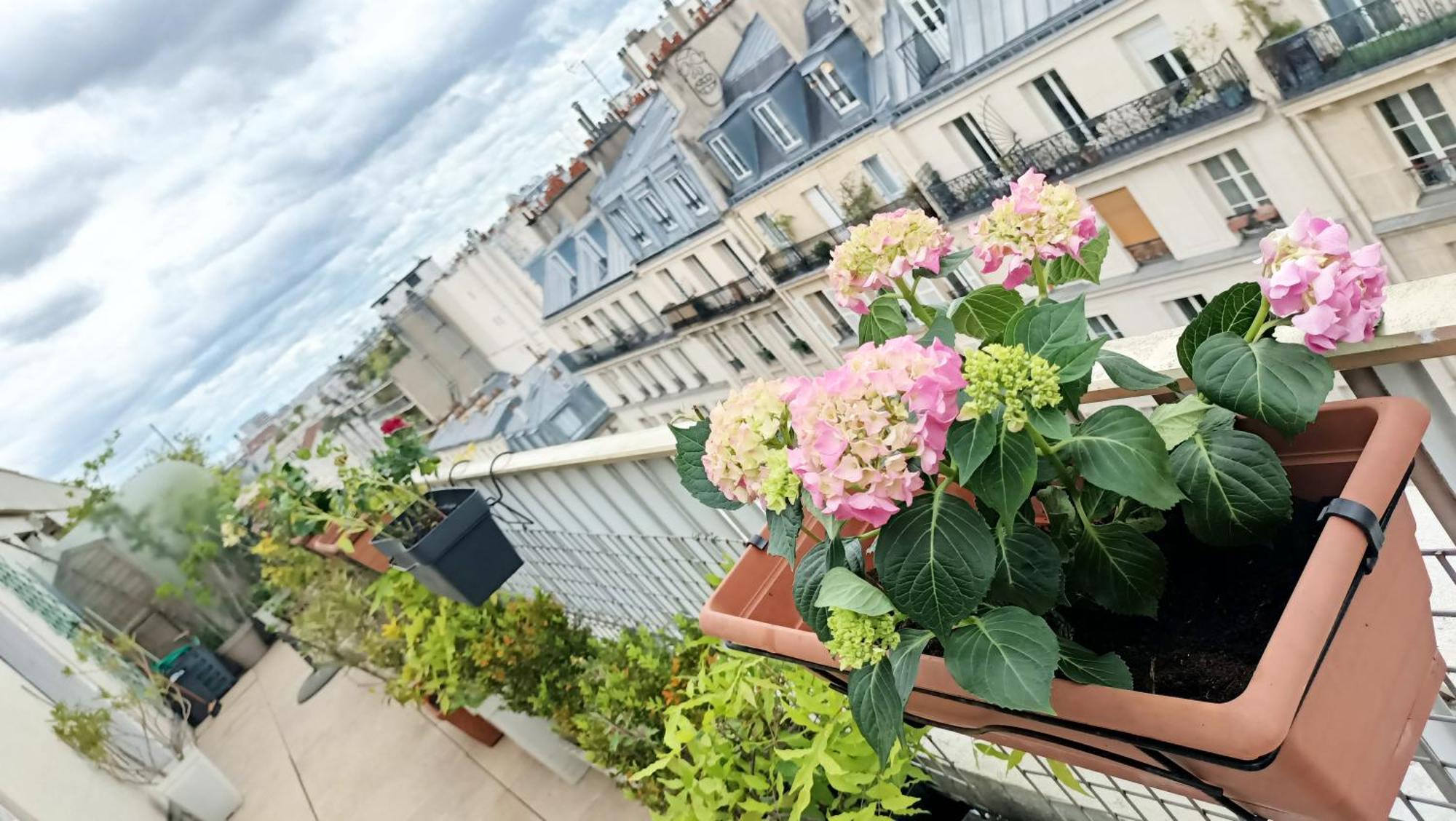 King Bedroom And Terrace In Center, Shared Bathroom Parigi